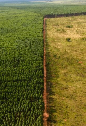 Photo shows the sharp line between the Amazon rainforest and a deforested pasture