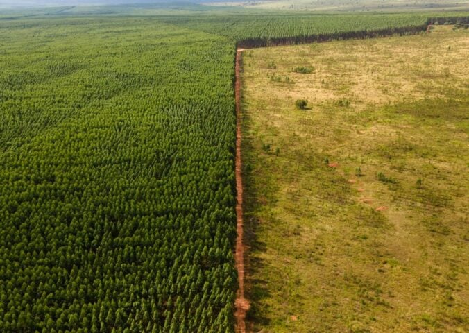 Photo shows the sharp line between the Amazon rainforest and a deforested pasture