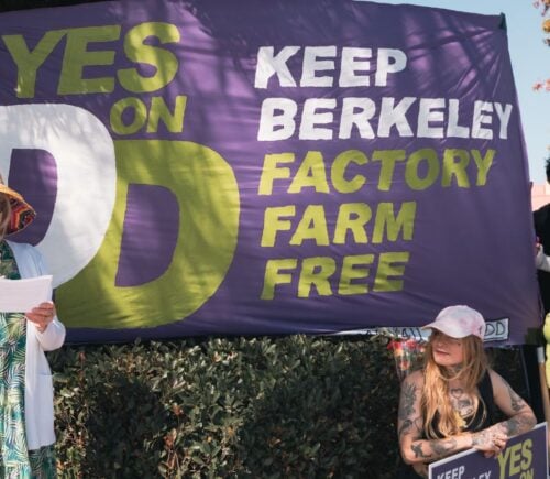 Berkeley resident Diana Navon speaks during the March for Measure DD, which called to ban factory farming in Berkeley