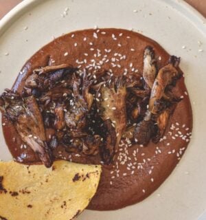 a plate of black mole with roasted oyster mushrooms served with tortilla