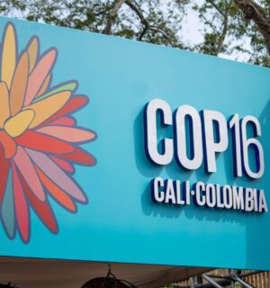 Cop16