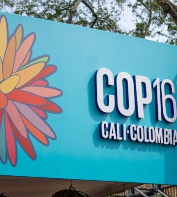 Cop16