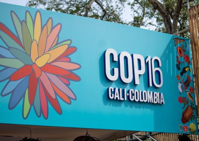 Cop16