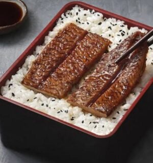 Photo shows Forsea's cultured seafood product, eel, or unagi, served over rice