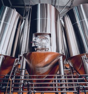 Fermentation vats