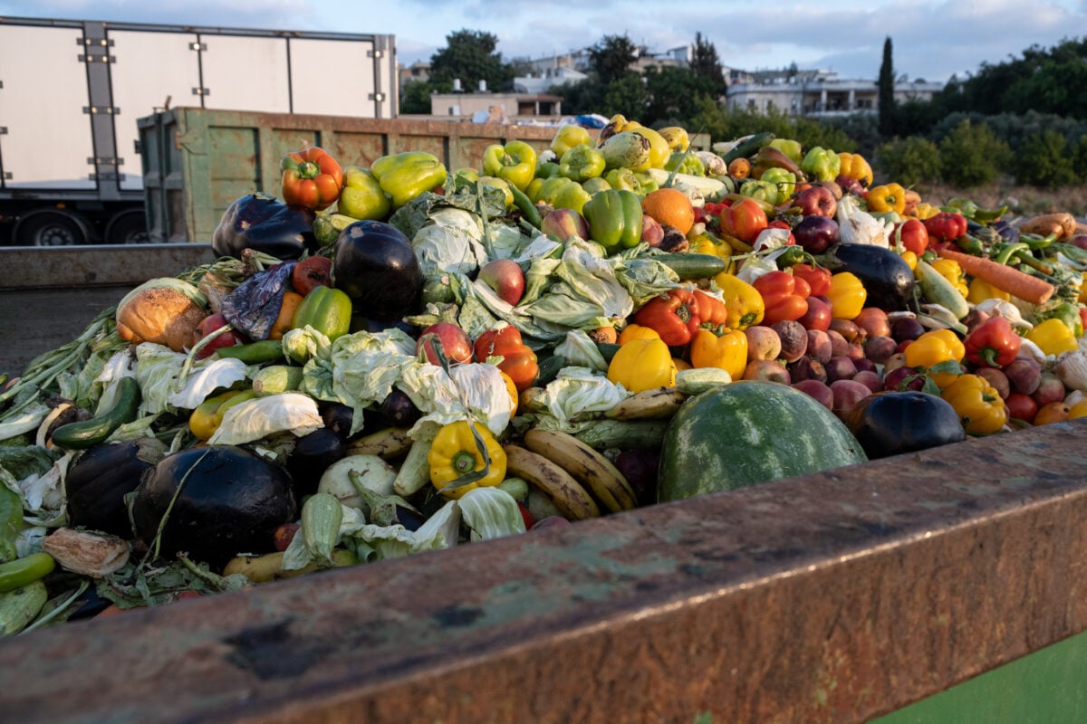 wasted vegetables