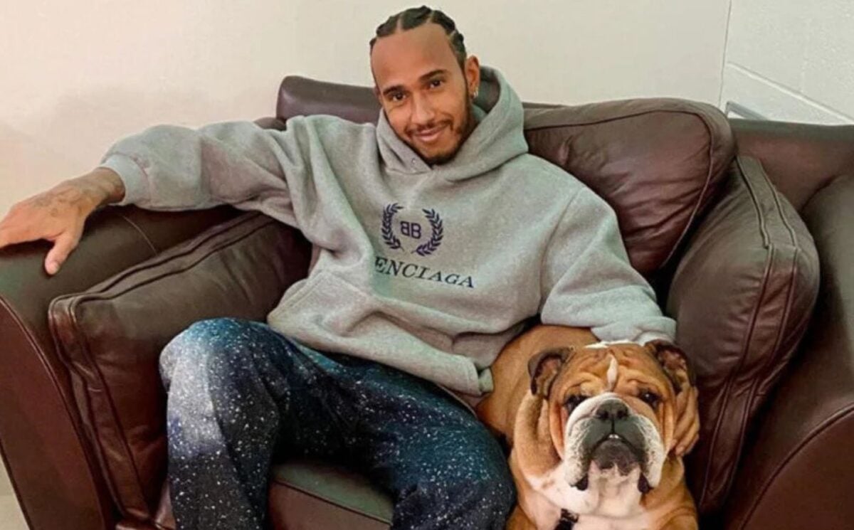 Vegan celebrity Lewis Hamilton sitting with his plant-based dog Roscoe on a sofa