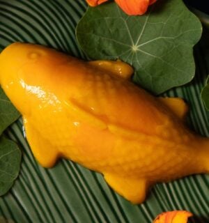 a picture of a vegan mango pudding shaped like a koi fish