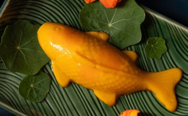 a picture of a vegan mango pudding shaped like a koi fish