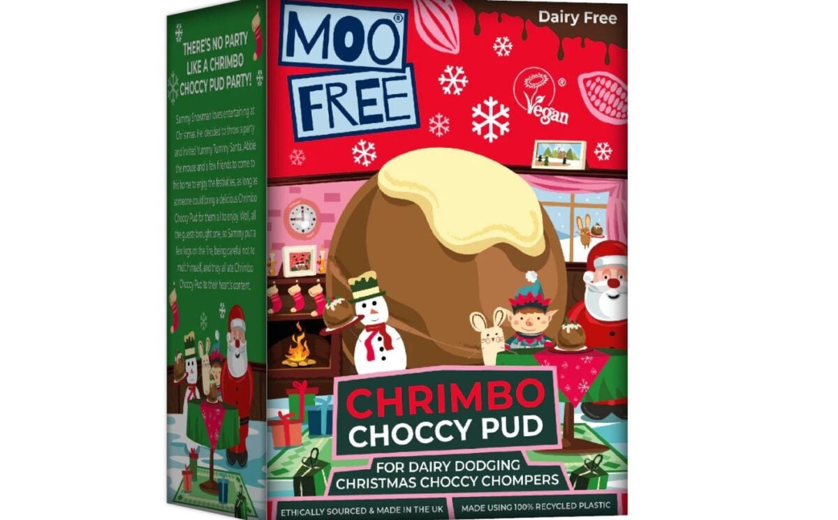 Photo shows Moo Free's vegan "Choccy Pud"