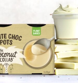 Vegan White Choc Pots from The Coconut Collab