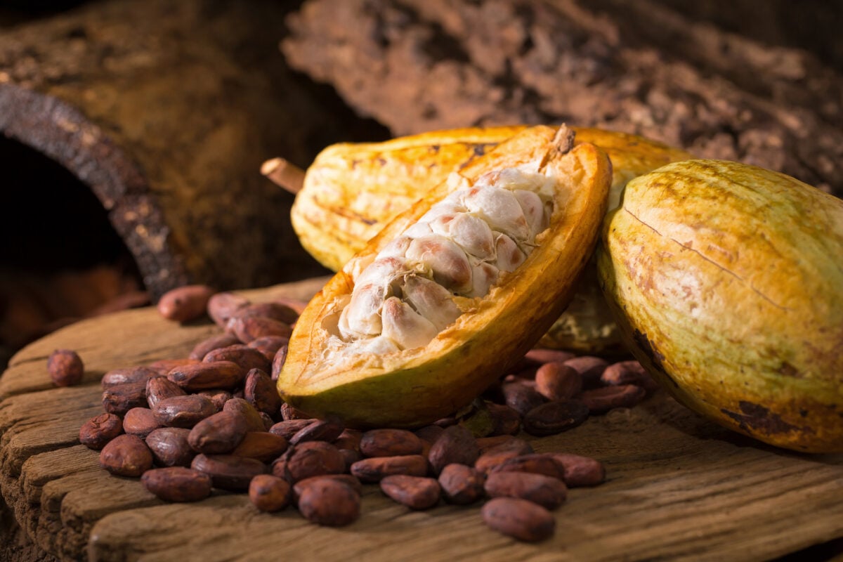 Cacao