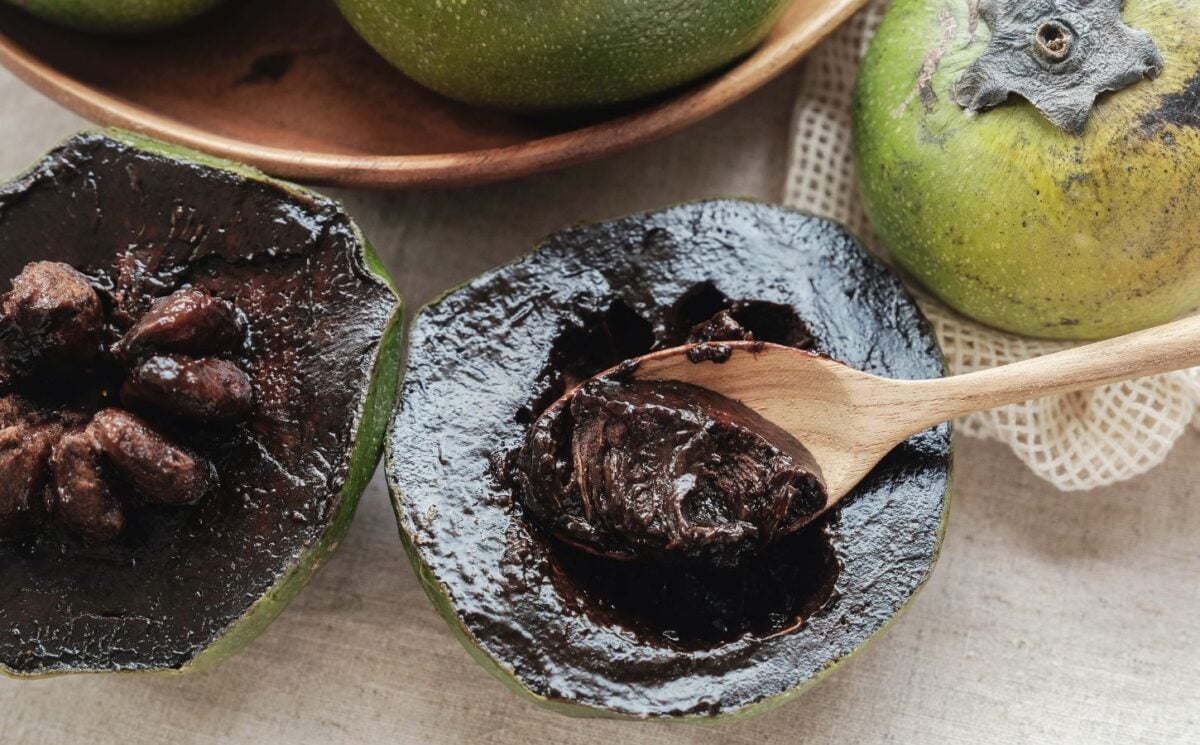 chocolate sapote