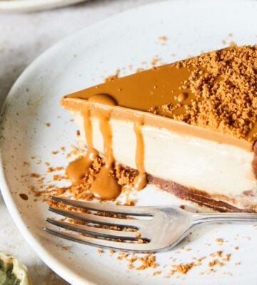 A "no bake" dairy-free cheesecake made to a plant-based recipe