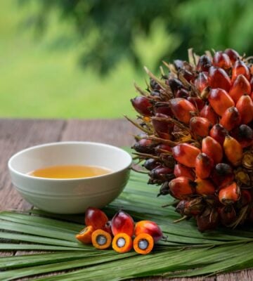 Palm oil on a table