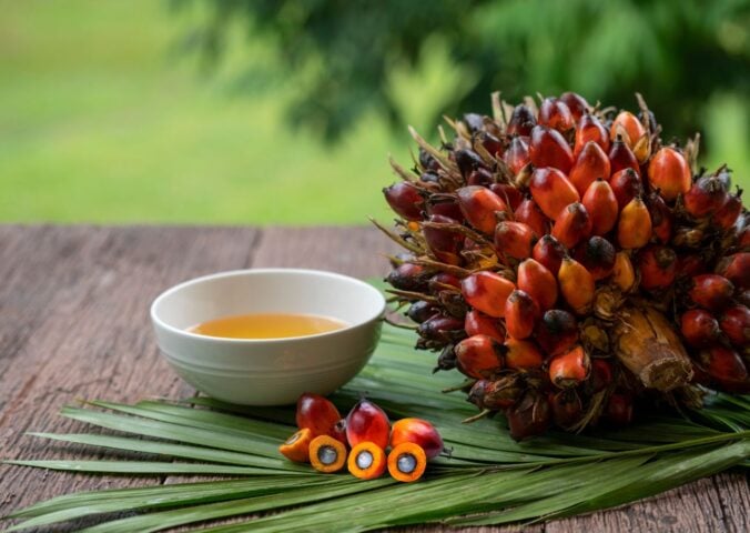 Palm oil on a table