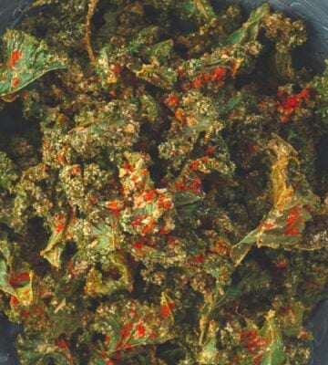 a bowl of savory kale chips with cashews, paprika, lemon, nutritional yeast