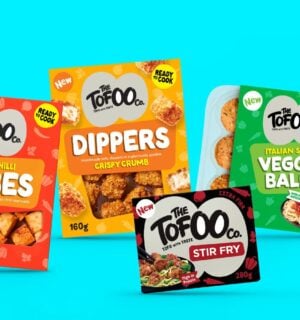 Photo shows the four new tofu products The Tofoo Co is launching in time for Veganuary 2025