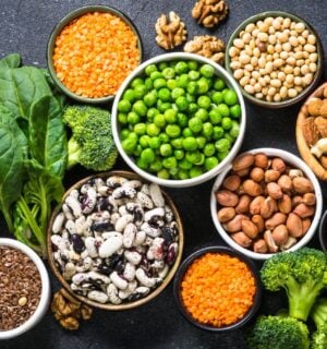 plant proteins