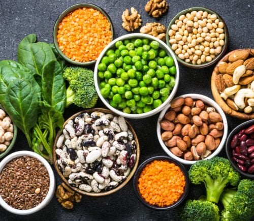 plant proteins