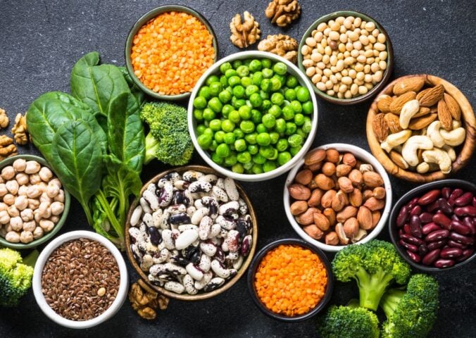 plant proteins