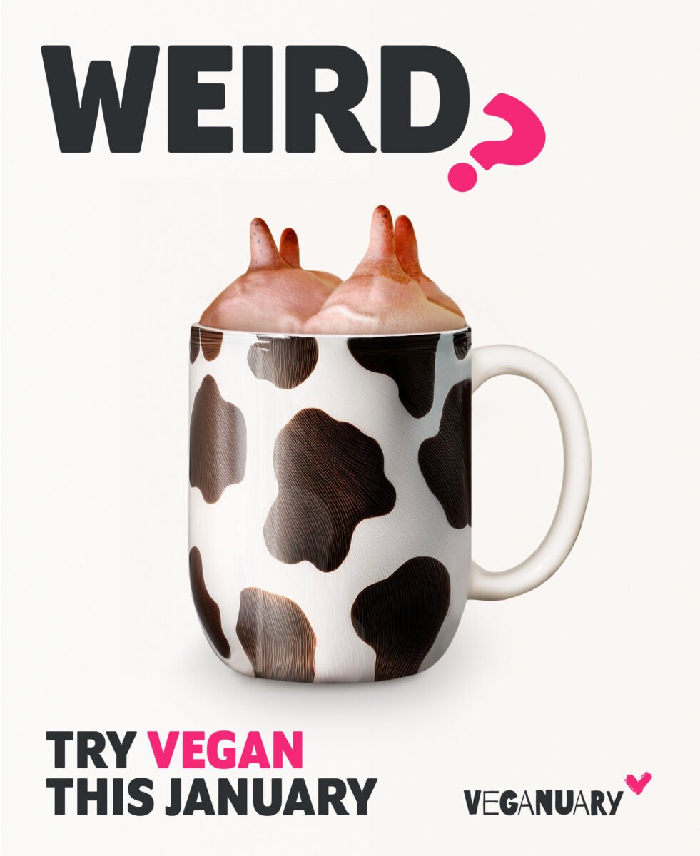 A Veganuary 2025 ad showing a cow's udder in a cow print mug with the words "Weird" written above