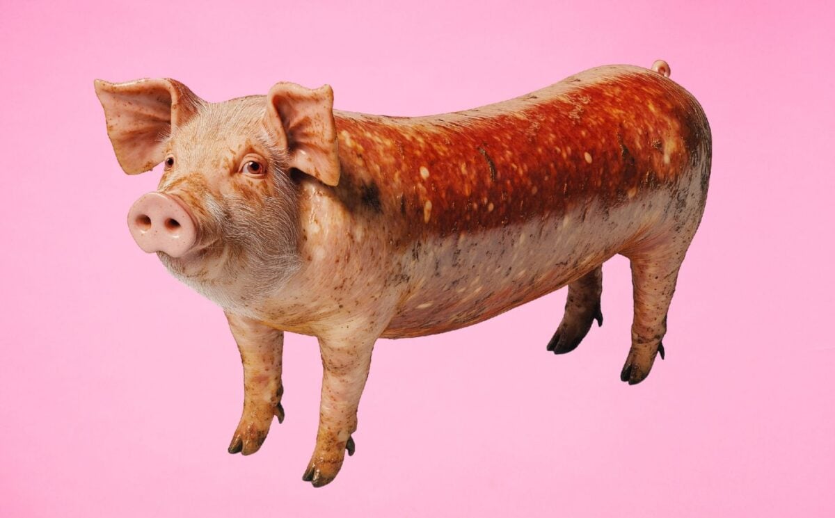 An AI-genertated image of a pigs head coming out of a sausage, which is part of Veganuary's 2025 "weird" campaign