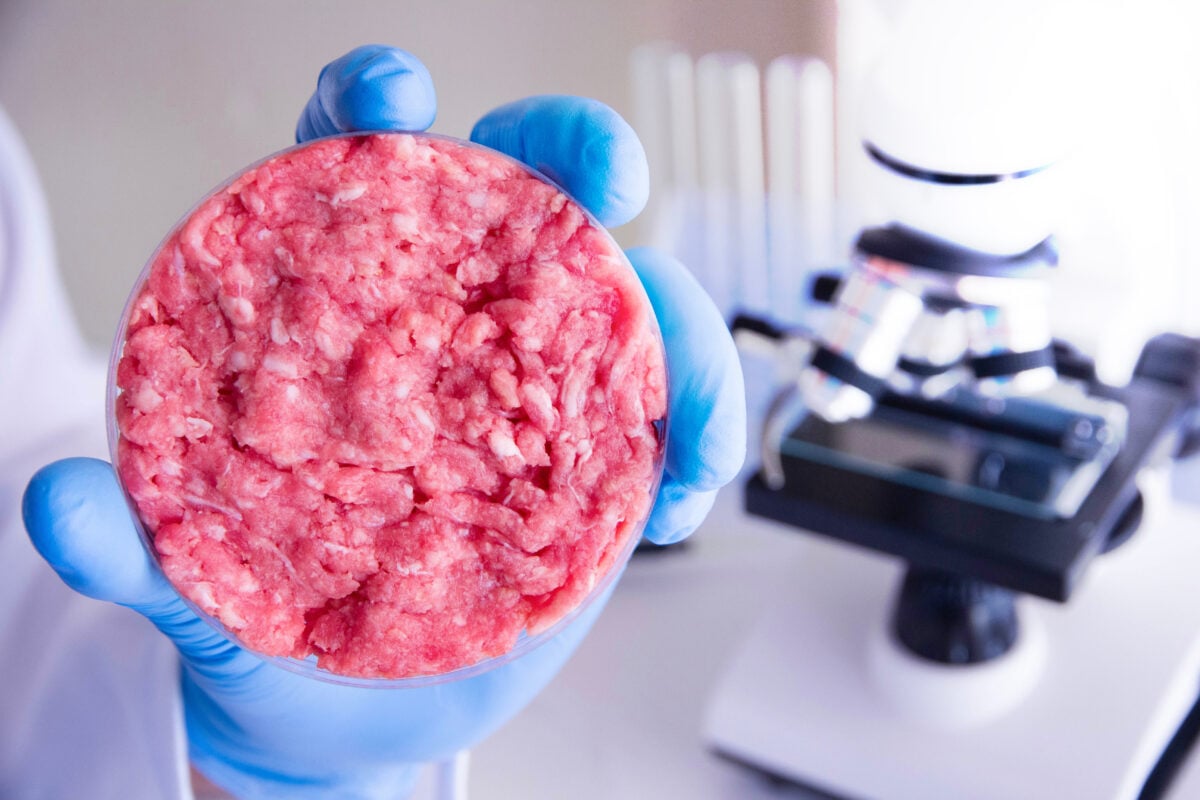 Photo shows a blue-gloved hand holding up a Petri Dish of cultivated meat