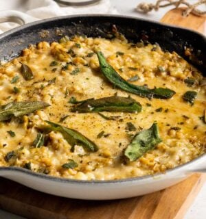 A skillet full of cheesy beans, an easy one-pot vegan recipe