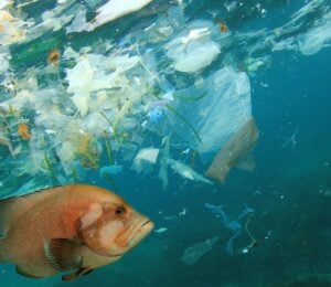 plastic pollution ocean