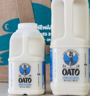 Two cartons of Oato, a fresh oat milk brand that has just launched at Sainsbury's