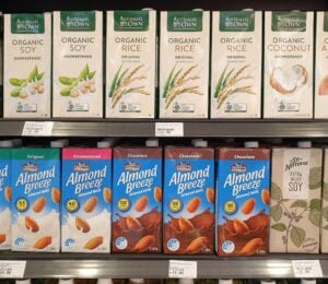 plant-based milks