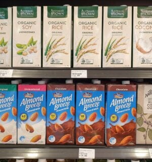 plant-based milks