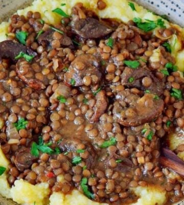 quick and easy vegan lentil recipes like this lentil stew and mashed potatoes