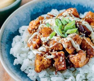 a bowl of vegan teriyaki tofu don, a Japanese dish made plant-based with tofu