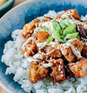 a bowl of vegan teriyaki tofu don, a Japanese dish made plant-based with tofu