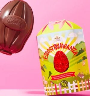 A vegan Easter egg from Catherine's Originals, thought to be the largest in the UK