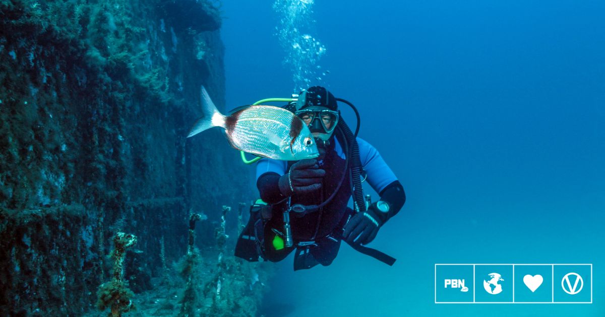 Wild Fish Can Tell Humans Apart By Their Clothing, Study Finds