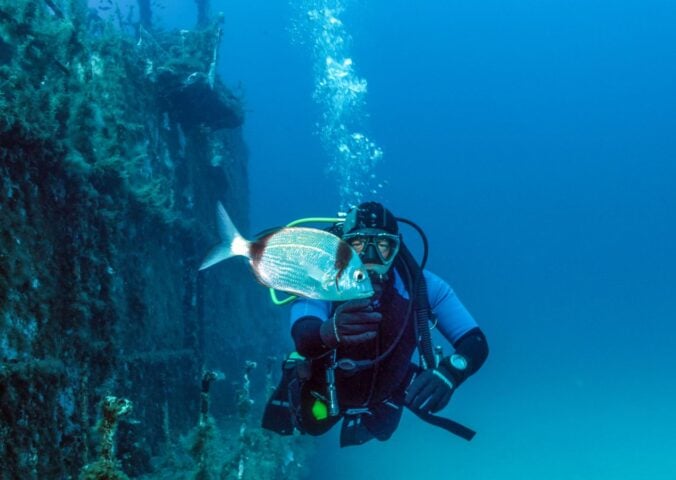 Photo shows a human diver interacting with a bream, a common variety of fish