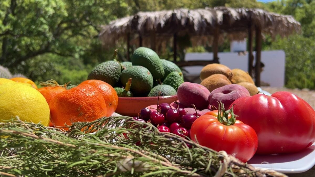 A selection of fruits from a vegan homestead