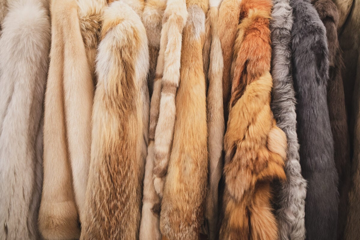 fur coats