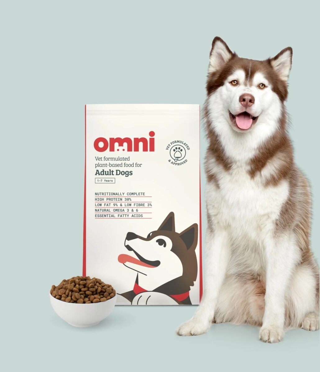 A dog next to some vegan dog food from Omni in front of a pale blue background