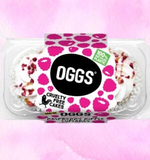 A two-pack of OGGS vegan cakes in raspberry ripple flavor