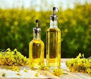 Photo shows two glass bottles of canola oil on a table alongside picked rapeseed flowers with a field in the background