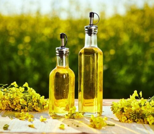 Photo shows two glass bottles of canola oil on a table alongside picked rapeseed flowers with a field in the background