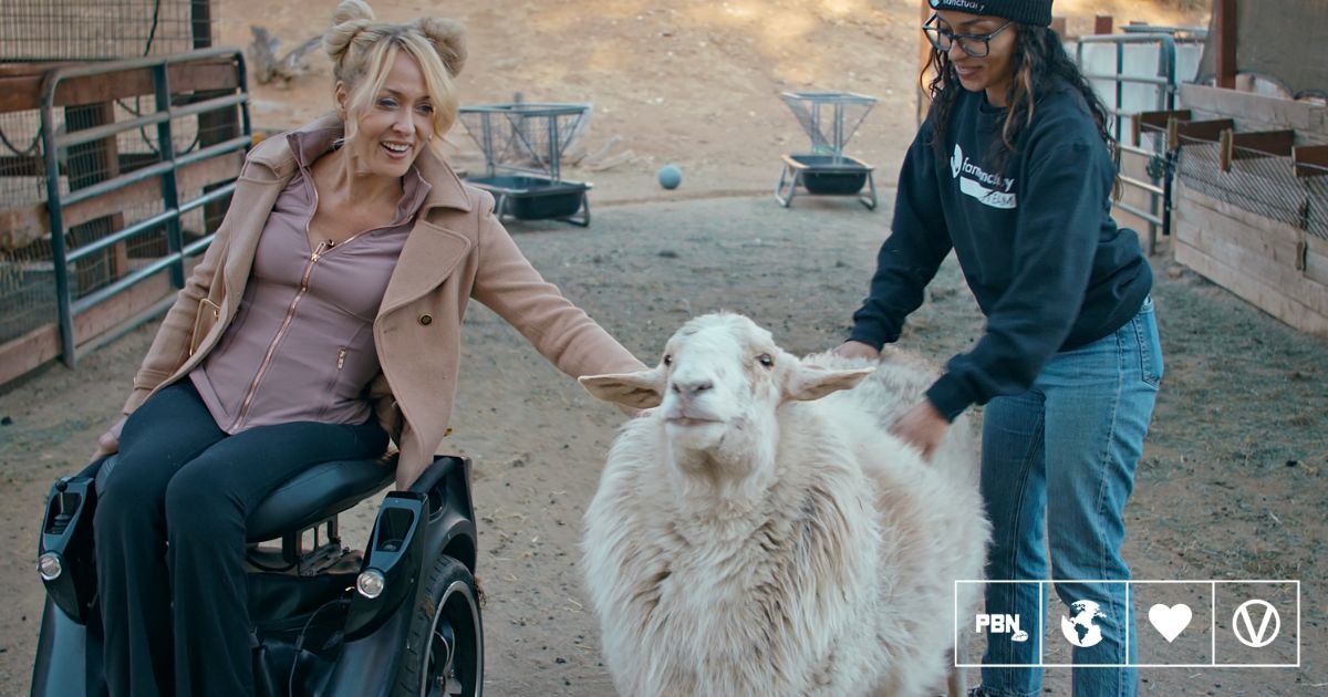 New Film Merges Art, Disability, And Animal Rights - How To Support ...