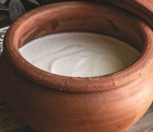 a bowl of nondairy yogurt for vegans