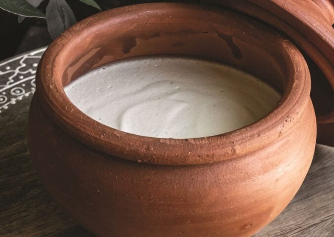 a bowl of nondairy yogurt for vegans