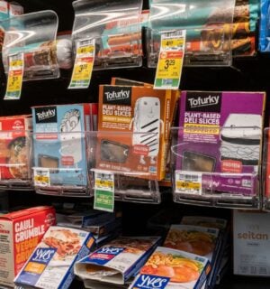 plant-based meat in a supermarket