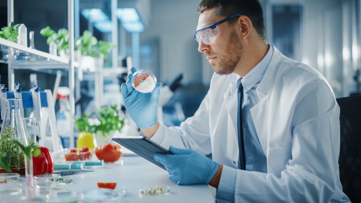 scientists developing plant-based meat